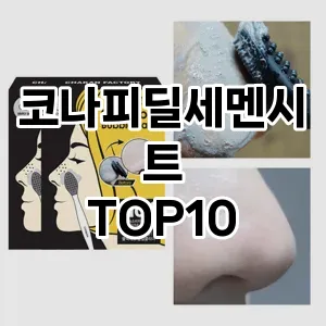 코나피딜세멘시트 추천 순위  TOP10 구매가이드 2025년 6월 2주차