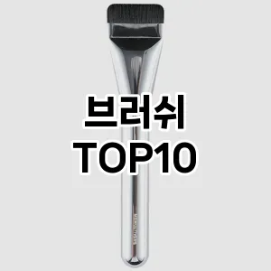 브러쉬 추천 순위  TOP10 구매가이드 2025년 7월 3주차