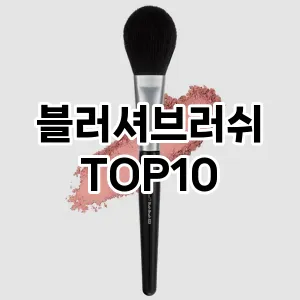 블러셔브러쉬 추천 순위  TOP10 구매가이드 2025년 7월 3주차