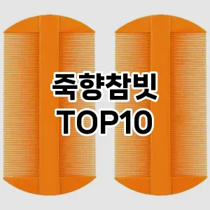죽향참빗 추천 순위  TOP10 구매가이드 2025년 7월 4주차