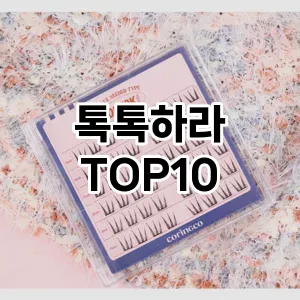 톡톡하라 추천 순위  TOP10 구매가이드 2025년 7월 4주차